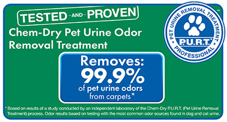 Chem-Dry of the Foothills removes 99.9% of pet urine odors from carpets. Trust us to professionally clean and remove unwanted odors today!